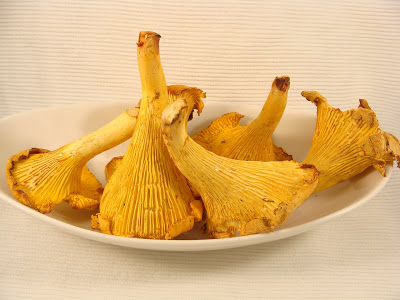 Rebozuelos