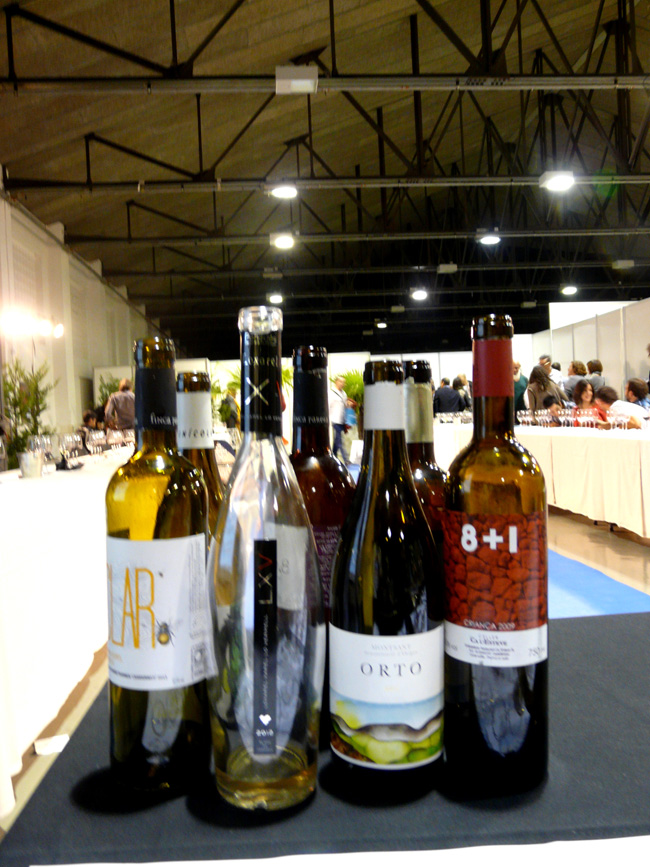 Terrassa de vins 2013